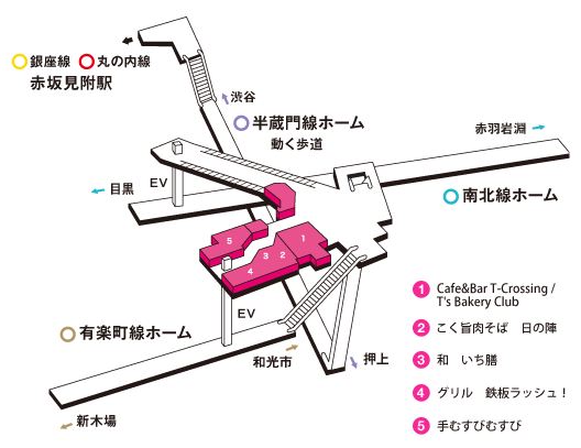 Echika fit 永田町地図